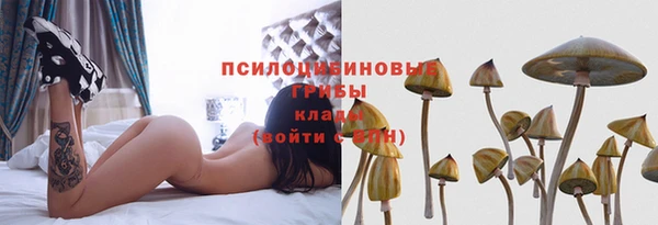 амф Абаза