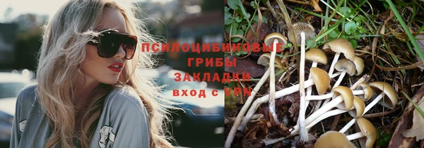 герыч Абинск