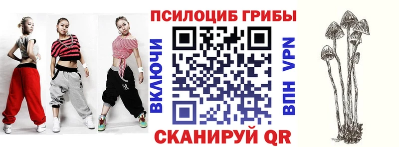 наркошоп  Калачинск  Псилоцибиновые грибы GOLDEN TEACHER 
